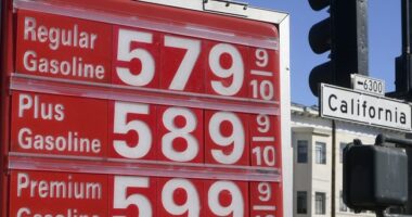 Garcia: California’s High Gas Prices Are a Choice – Not a Necessity