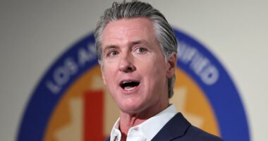Gavin Newsom declares war on cafeteria favorites with new ban