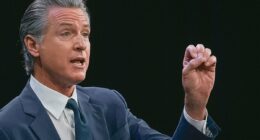 Gavin Newsom rages at Trump over air traffic controller shortage