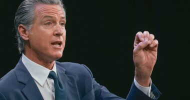 Gavin Newsom rages at Trump over air traffic controller shortage