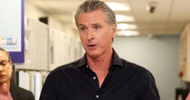 Gavin Newsom slams plans to fire artillery over California highway