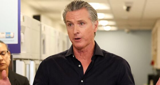 Gavin Newsom slams plans to fire artillery over California highway