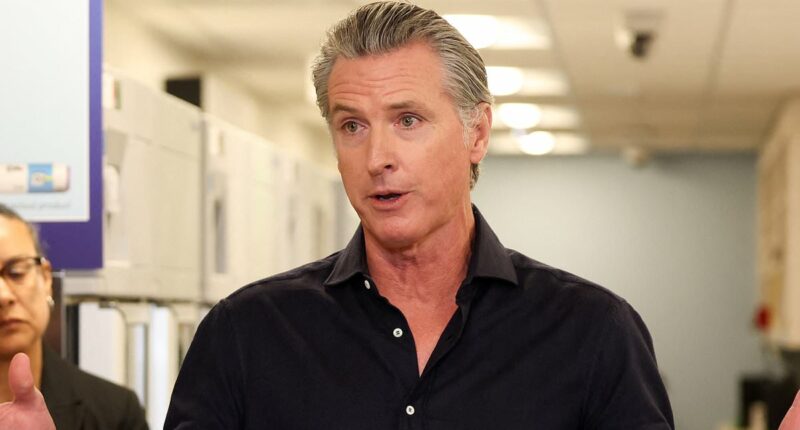 Gavin Newsom slams plans to fire artillery over California highway