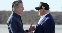 Gavin Newsom uses new Taylor Swift album to take jab at Trump