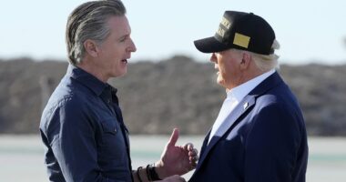 Gavin Newsom uses new Taylor Swift album to take jab at Trump