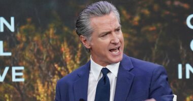 Gavin Newsom wages war against Trump with new lawsuit