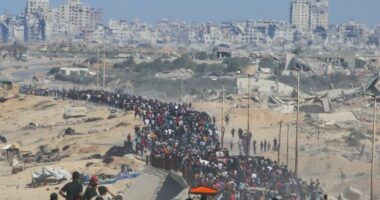 Gaza: Guns fall silent as 72-hour countdown for hostage release begins
