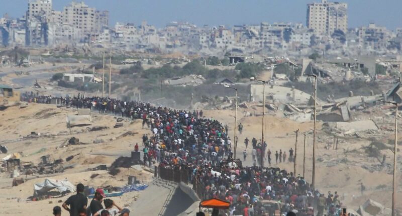 Gaza: Guns fall silent as 72-hour countdown for hostage release begins