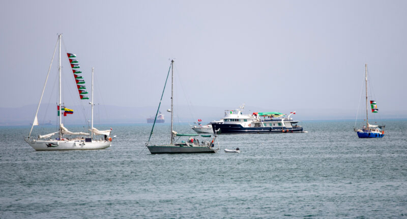 Gaza flotilla: Activists including Greta Thunberg say Israeli navy has begun intercepting a Gaza-bound aid flotilla