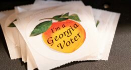 Georgia elections 2025 early voting begins today