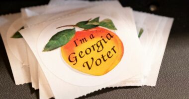 Georgia elections 2025 early voting begins today