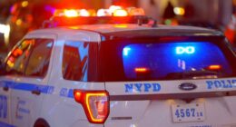 Girl, 13, dragged into park woods, sexually assaulted by creep in Bronx