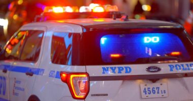 Girl, 13, dragged into park woods, sexually assaulted by creep in Bronx