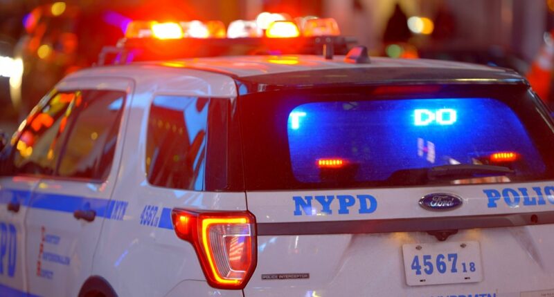 Girl, 13, dragged into park woods, sexually assaulted by creep in Bronx