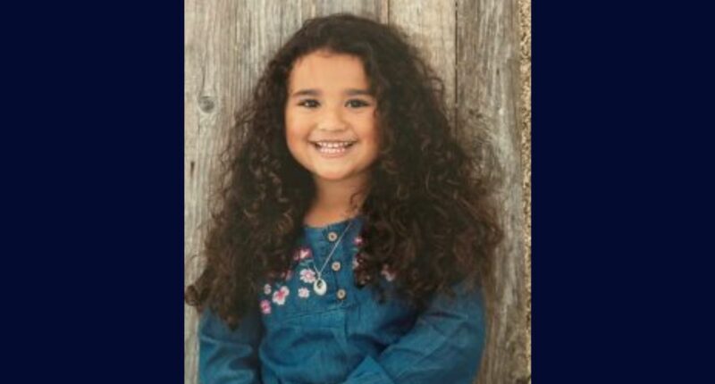 Girl, 9, 'at risk' after disappearing on road trip: Cops