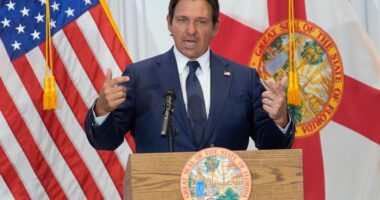 Gov. DeSantis to 'pull the plug' on H-1B visas at Florida schools