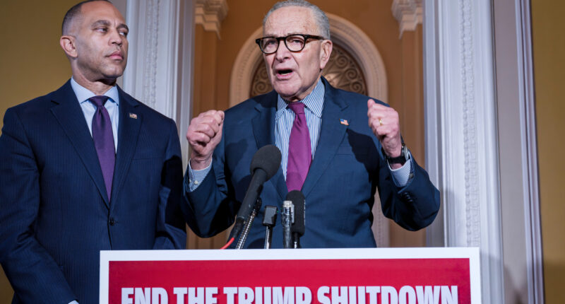 Government shutdown: Democrats say Trump needs to be involved, but he's shown little interest in doing so
