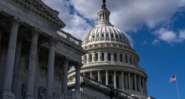 Government shutdown enters fifth day as Democrats and Republicans remain at an impasse
