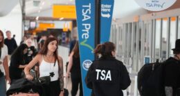 Government shutdown puts renewed spotlight on the cracks in the US aviation system