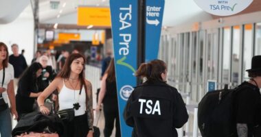 Government shutdown puts renewed spotlight on the cracks in the US aviation system