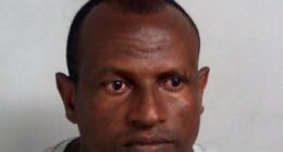 Government's desperate plea to find Epping sex attack migrant