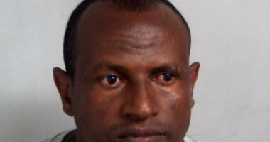 Government's desperate plea to find Epping sex attack migrant