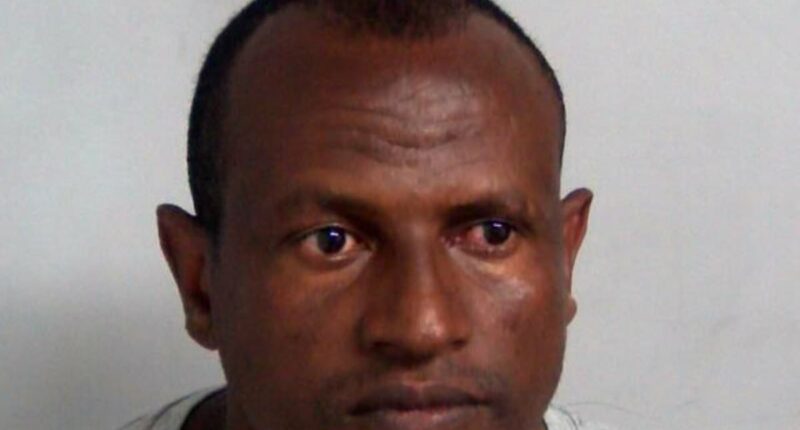 Government's desperate plea to find Epping sex attack migrant