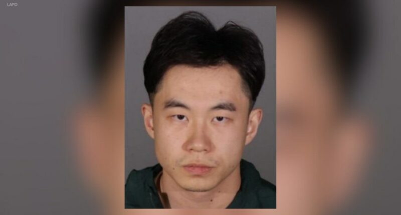 Graduate student accused of yearslong spree of drugging, rape