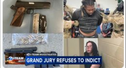 Grand jury refusing to indict protesters arrested at Broadview ICE facility influences ruling to bar National Guard deployments