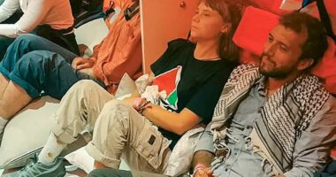 Greta Thunberg claims she is being held in a bug-infested cell