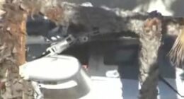 Helicopter crashes into California building