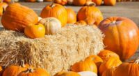 Hello October! Big changes are on the way for our weather