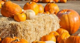 Hello October! Big changes are on the way for our weather