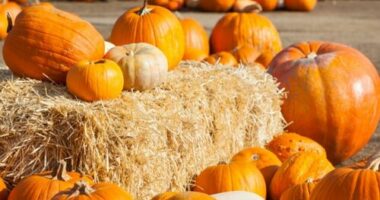 Hello October! Big changes are on the way for our weather