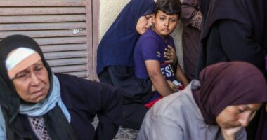 Here's the biggest news you missed this weekend