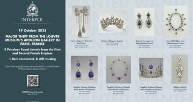 Here's where the jewels stolen from the Louvre Museum might end up