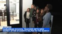 Hoffman Estates Timber Trails Elementary School teacher Katie Pappas gets 2nd life-saving kidney transplant organ donation