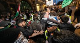 Home Secretary urges pro-Palestine protesters to step back