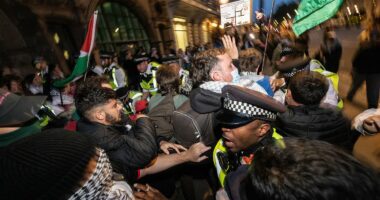 Home Secretary urges pro-Palestine protesters to step back