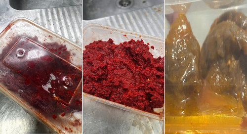 Homemade food products believed to be linked to Queensland rat poisoning cases