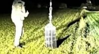 Hot air balloons smuggle cigarettes into Lithuania