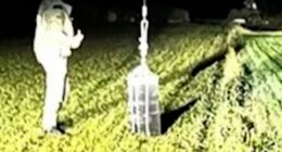 Hot air balloons smuggle cigarettes into Lithuania
