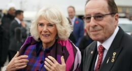 How Camilla inspired a palace thriller: Best-selling author Peter James reveals how his pen pal the Queen came to star in his new whodunnit