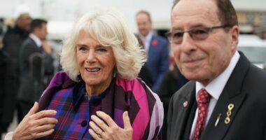 How Camilla inspired a palace thriller: Best-selling author Peter James reveals how his pen pal the Queen came to star in his new whodunnit