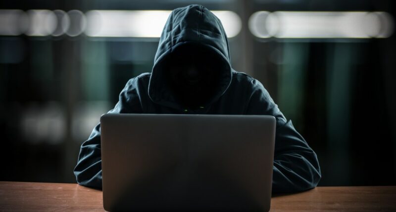 How New York State can guard its cyber borders