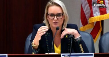 How could AI affect the future of Florida's insurance market?
