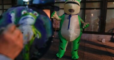 How inflatable costumes ballooned at anti-Trump rallies due to a Portland protester's frog outfit