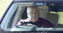 How life will look for Andrew Mountbatten Windsor as he becomes 'an ordinary member of the public'...with his home, finances and royal privileges stripped away