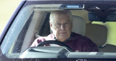 How life will look for Andrew Mountbatten Windsor as he becomes 'an ordinary member of the public'...with his home, finances and royal privileges stripped away