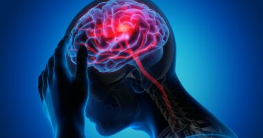 Huge breakthrough for stroke victims as doctors trial 'game-changing' pill that 'regrows' the brain